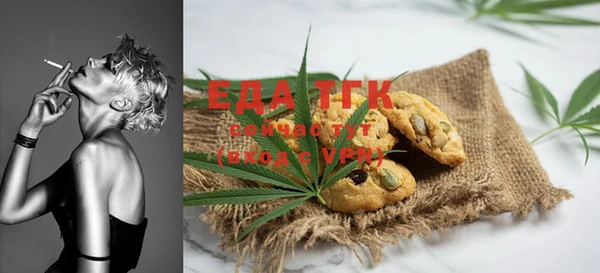 индика Богданович