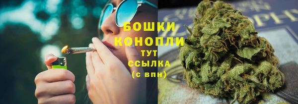 прущие грибы Богородицк