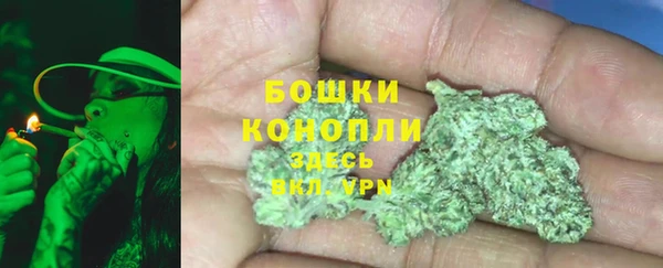 прущие грибы Богородицк
