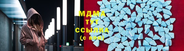 индика Богданович