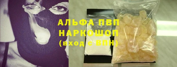 гидра Белокуриха