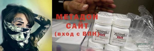 прущие грибы Богородицк