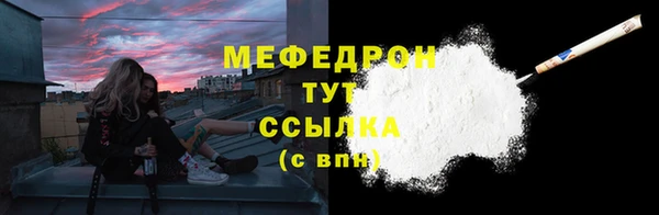 индика Богданович