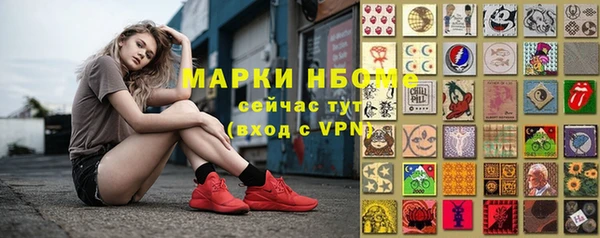 индика Богданович