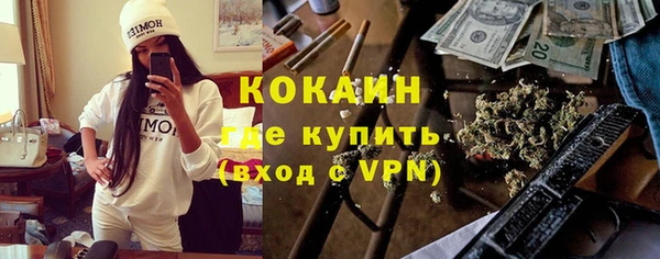 прущие грибы Богородицк