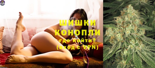 прущие грибы Богородицк
