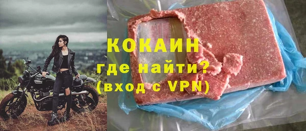 прущие грибы Богородицк