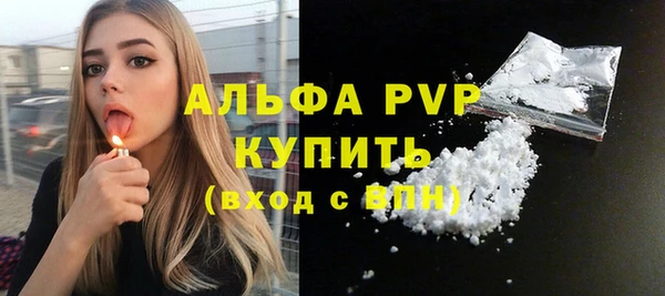 индика Богданович