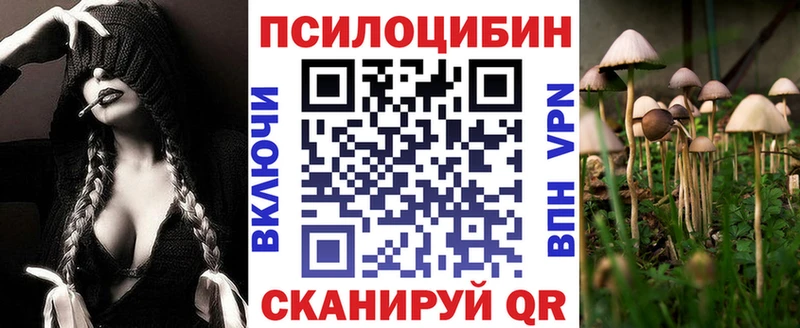 Псилоцибиновые грибы Psilocybe Дагестанские Огни
