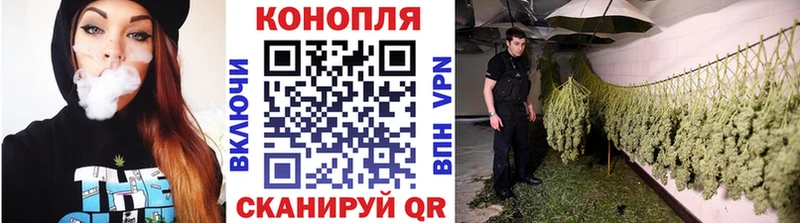 Бошки марихуана ГИДРОПОН  даркнет какой сайт  Дагестанские Огни 