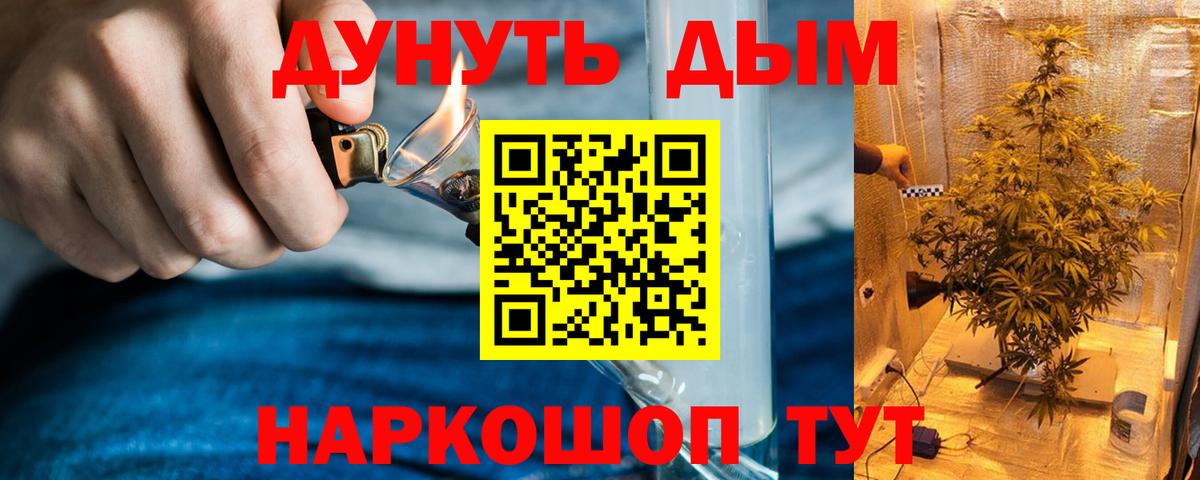 Канабис сатива Дагестанские Огни